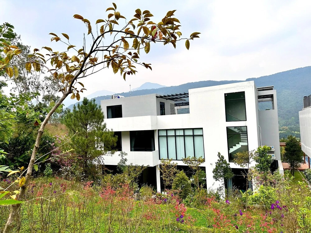 Tico Villa Tam Dao