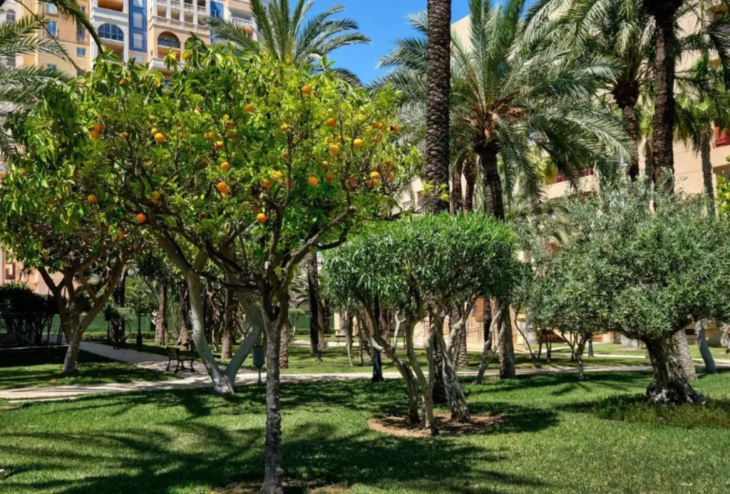 Casa del Buho