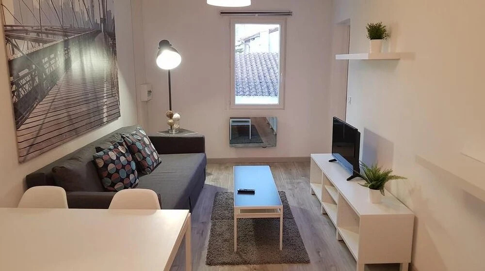 Appartement Hypercentre Revel