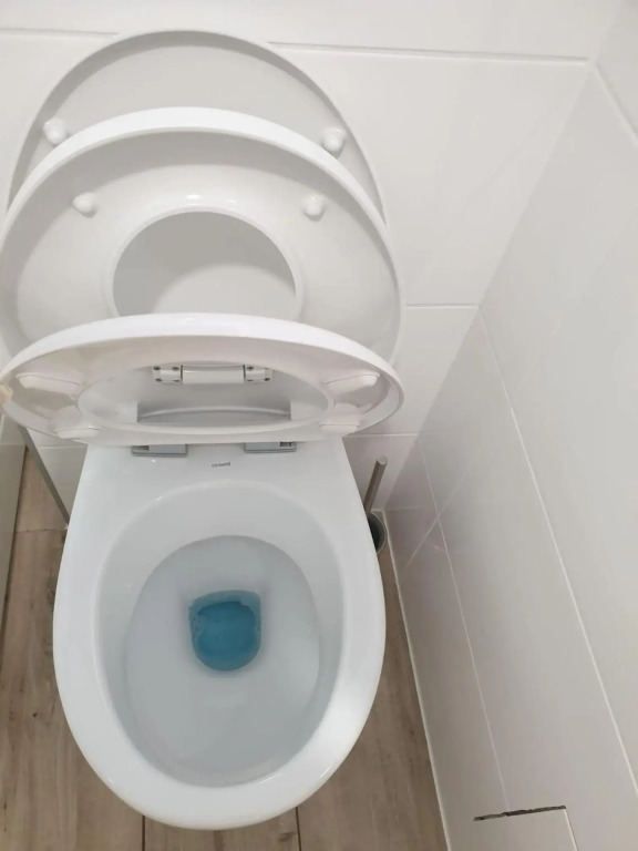 Ruža Apartmani Zadar
