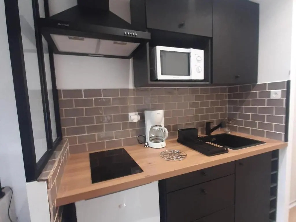 Appartement rénové 20m² au pied des pistes avec balcon et parking gratuit - FR-1-515-110