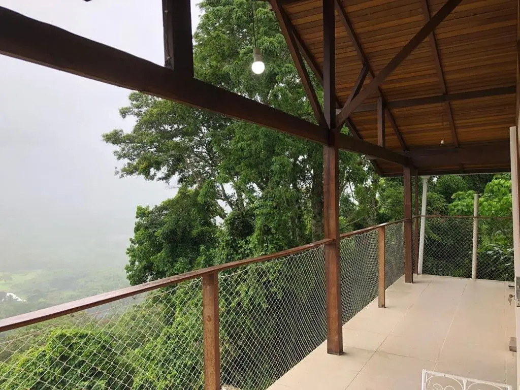 Floresta Tropical