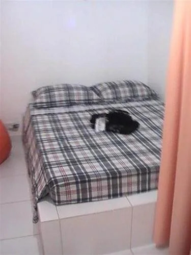 Hotel Dalu