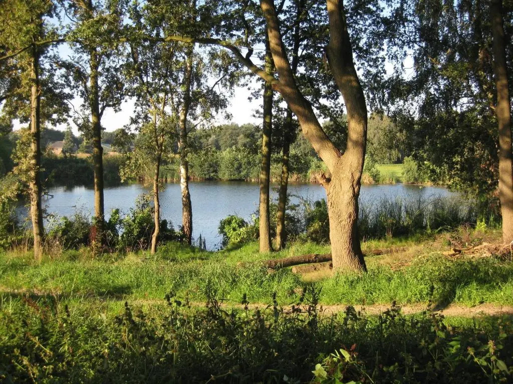 De Erfdijk
