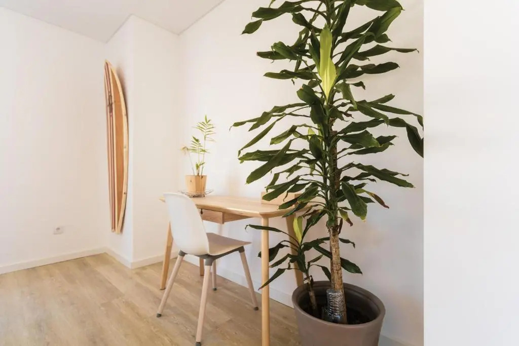 Best Houses 29 - Apartamento das Vinhas