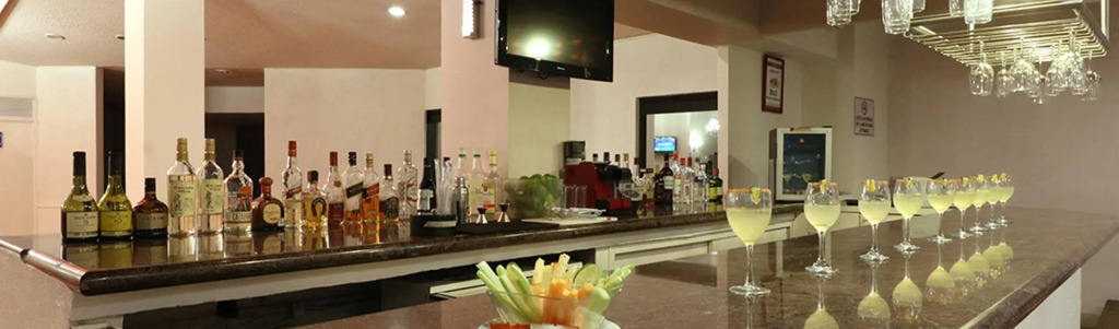 Hotel Misión Aguascalientes Zona Sur