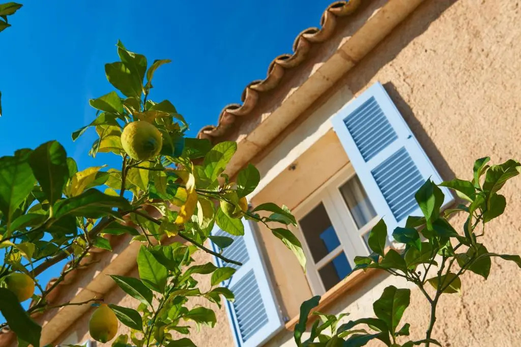 Residencia Restaurant Son Floriana