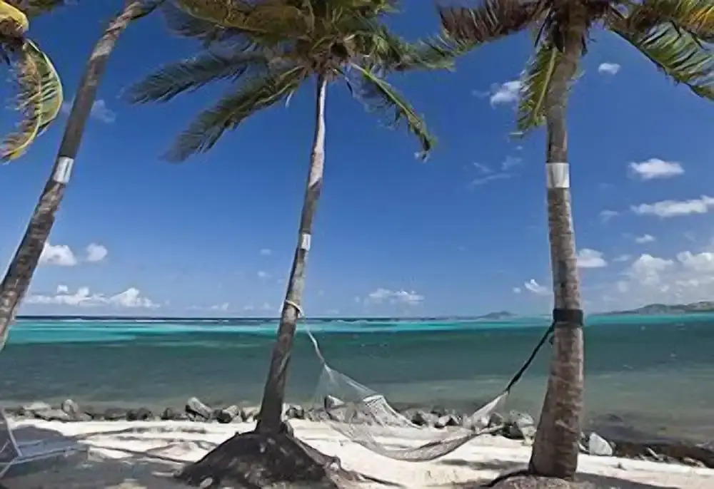 Colony Cove Beach Resort