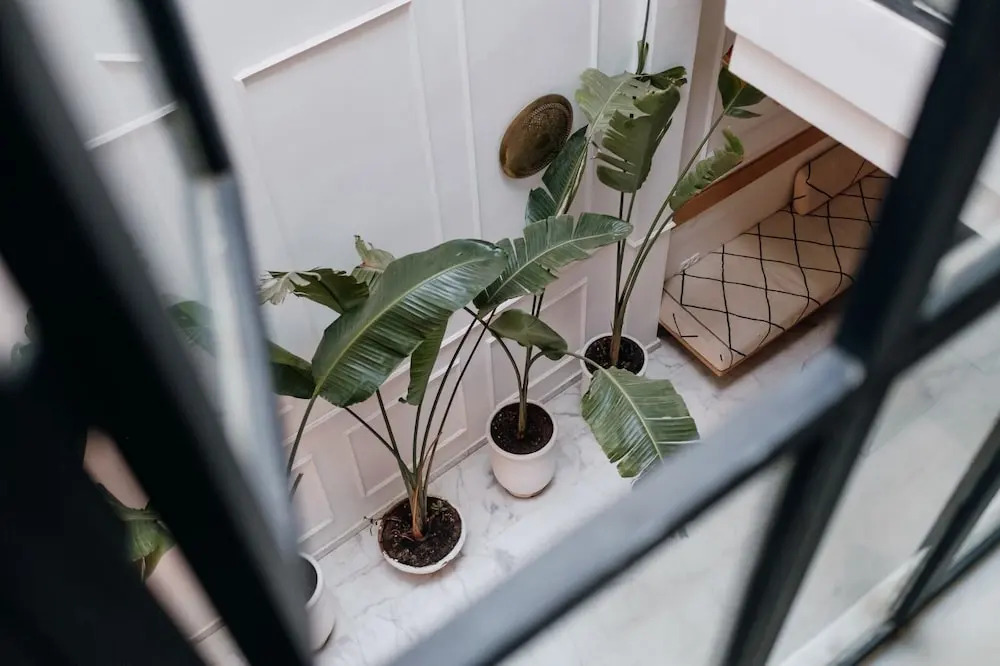 Riad Aïcha Kitchen