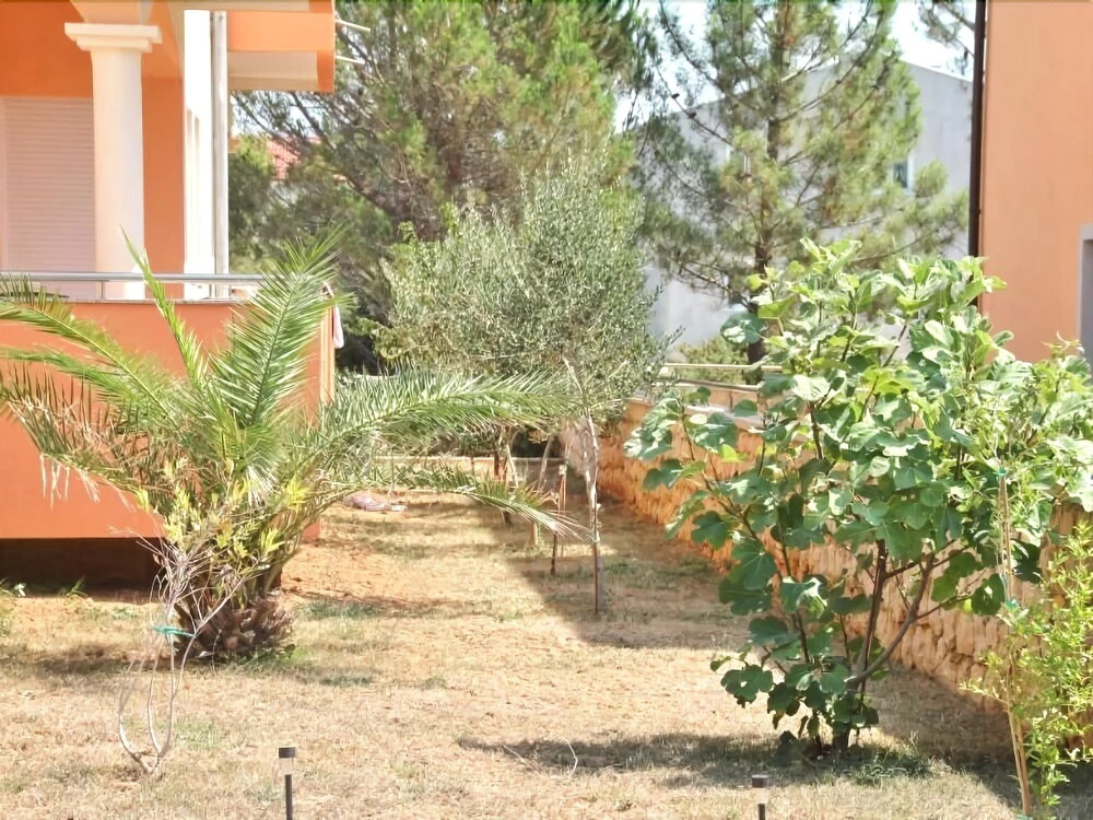 Apartments Dario