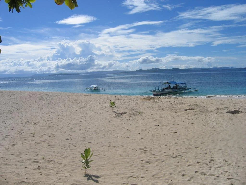 Siargao Divers Club