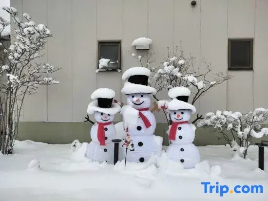 Hotel Sol at Lake Toya