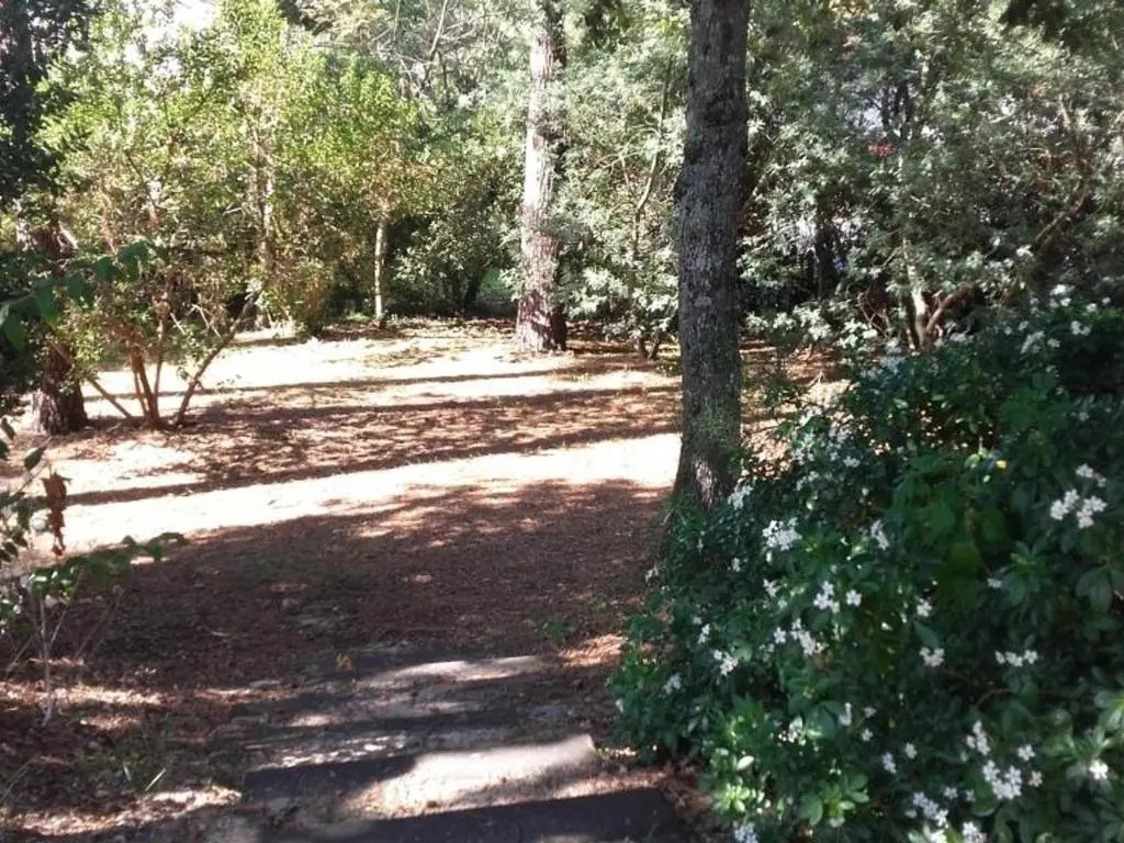 Maison spacieuse et calme à Arcachon - Idéale famille ou amis, proche plage et activités - FR-1-319-66