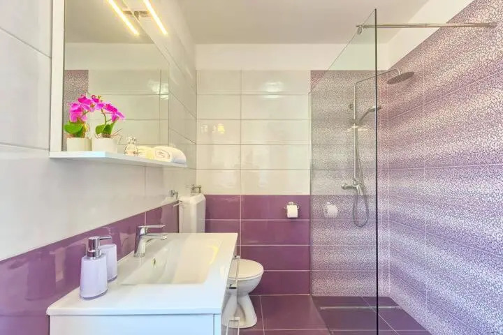 Apartment Viola ,2019