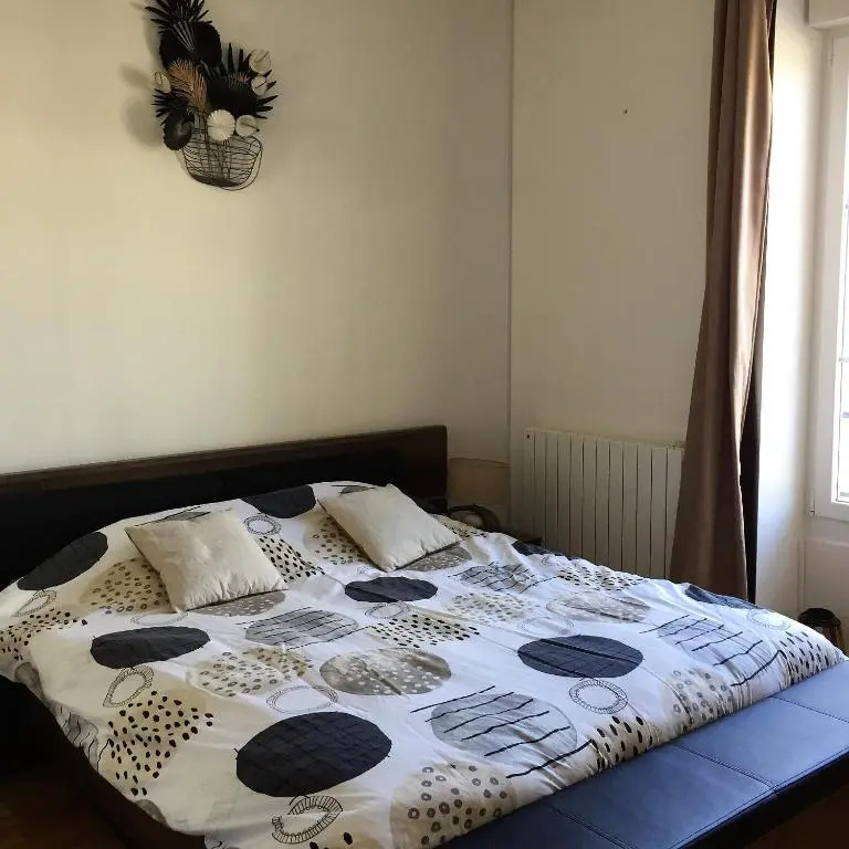 Vittel, Appt 55 M2, En Face du Parc Thermal