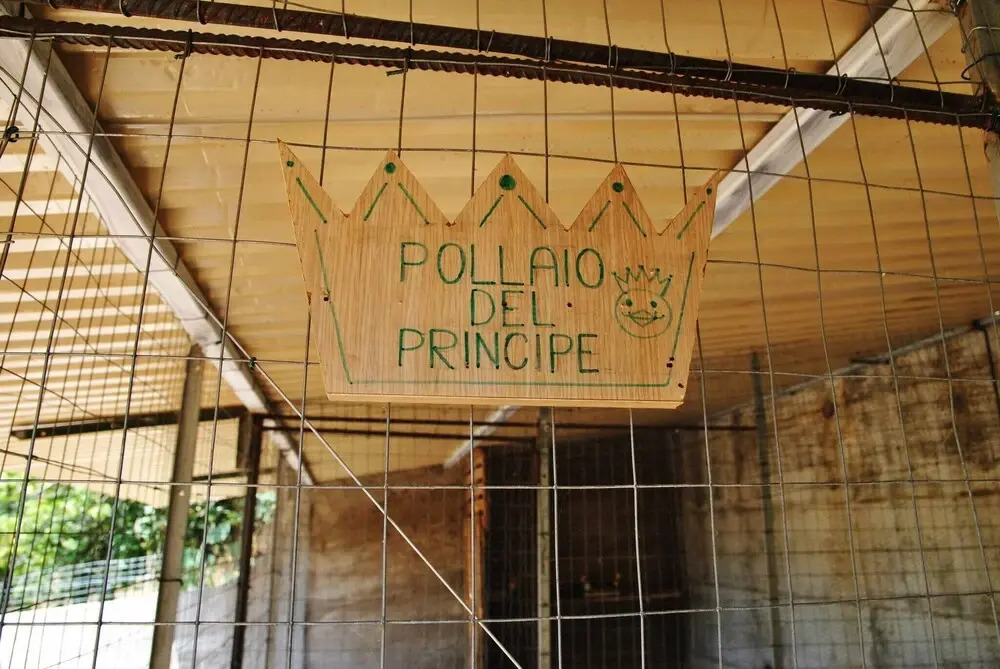 Casale Del Principe Holiday Home With Pool