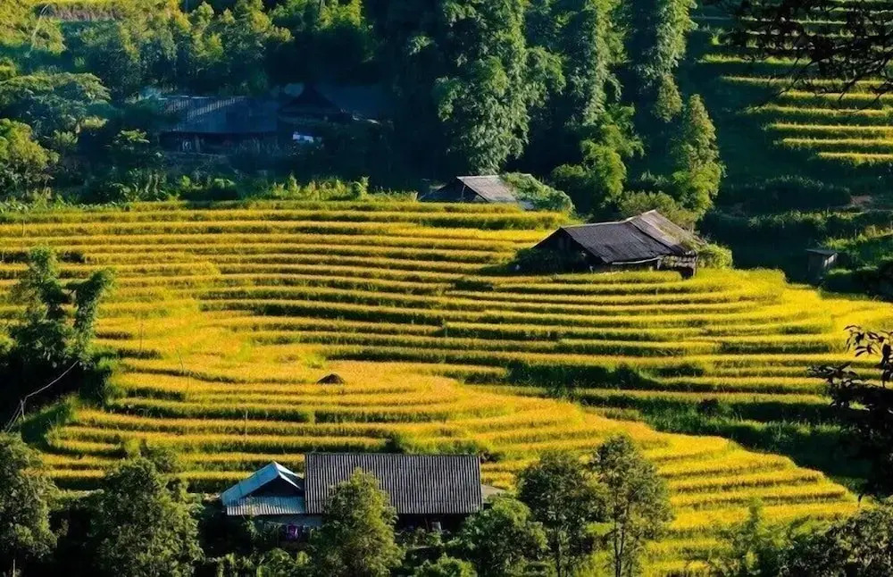 Saparis Station Hostel & Travel