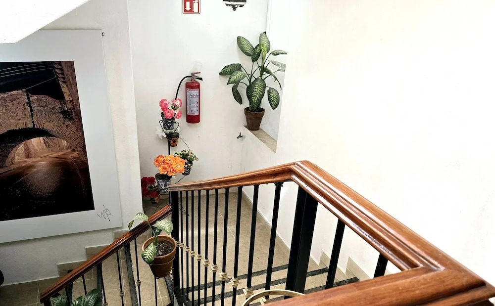 Hotel Plaza Baratillo
