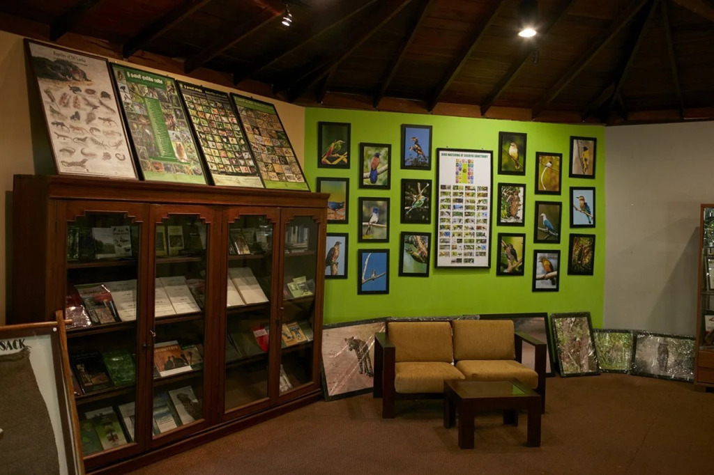 Lovely lodge & Hostel