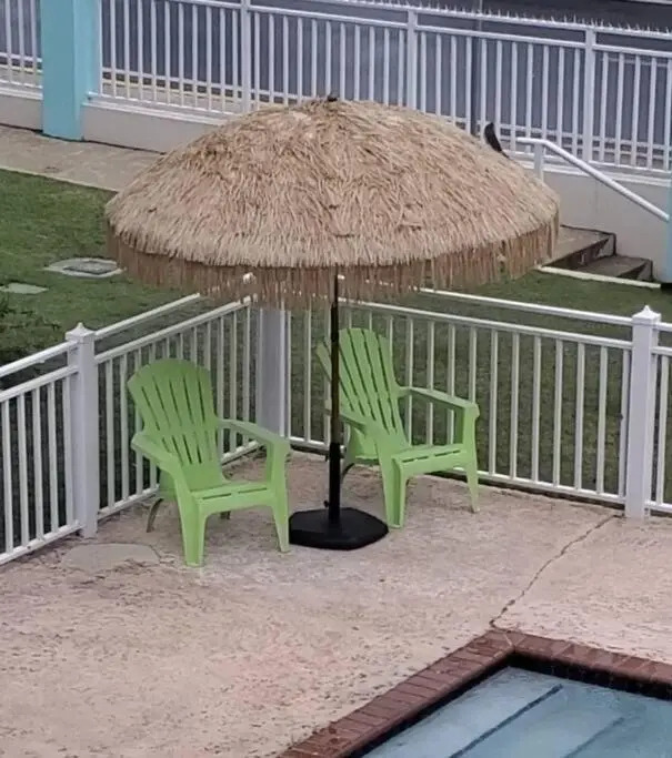 Summer all year! Oceanfront with Pool A/C