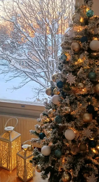 Tyylikäs yhden makuuhuoneen kohde luonnon lähellä