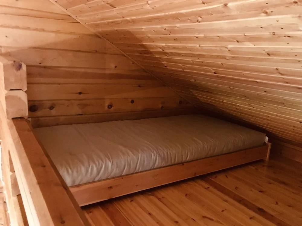 Metsä Kolo