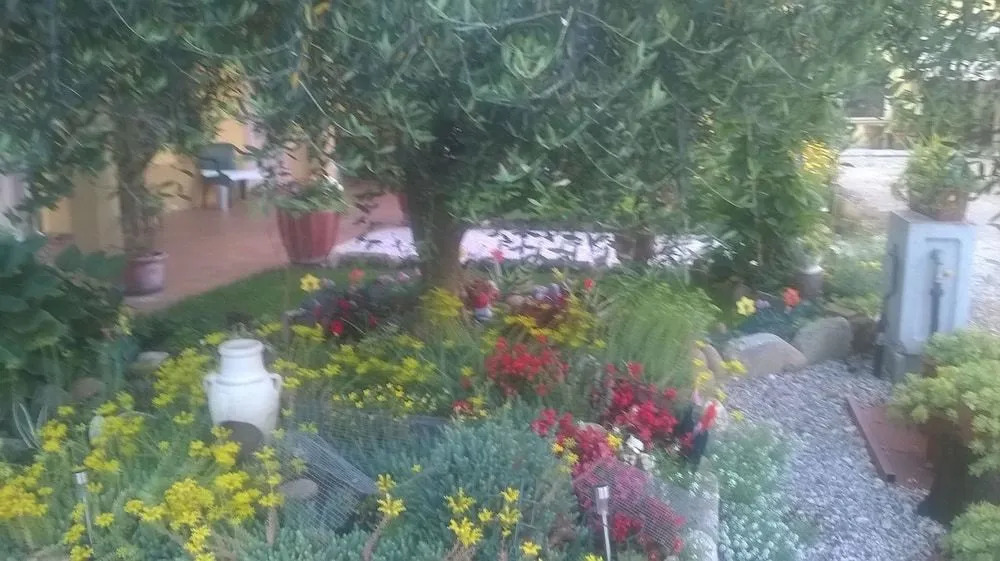 B&B Peschi in Fiore