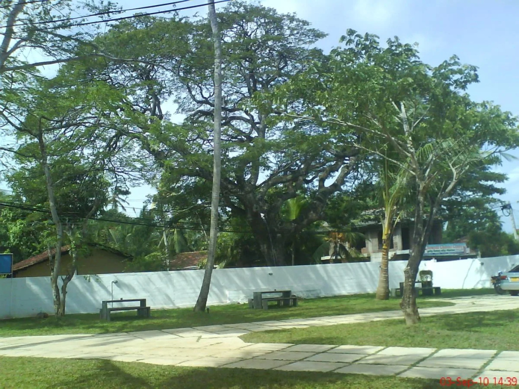 White House Tangalle