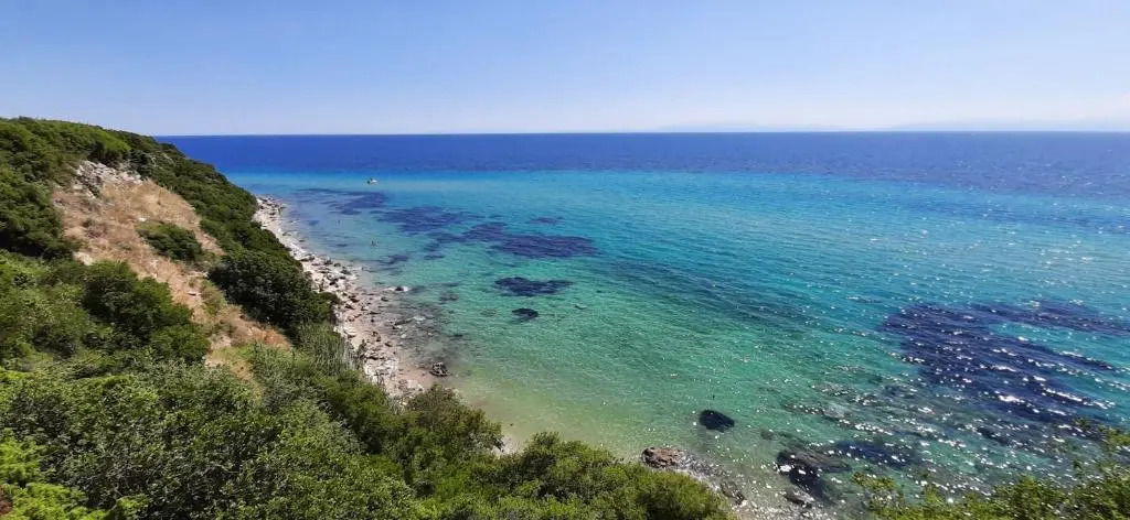 Oceanview 1