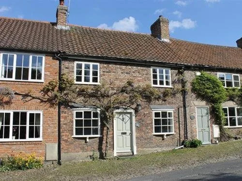 The Durham Ox