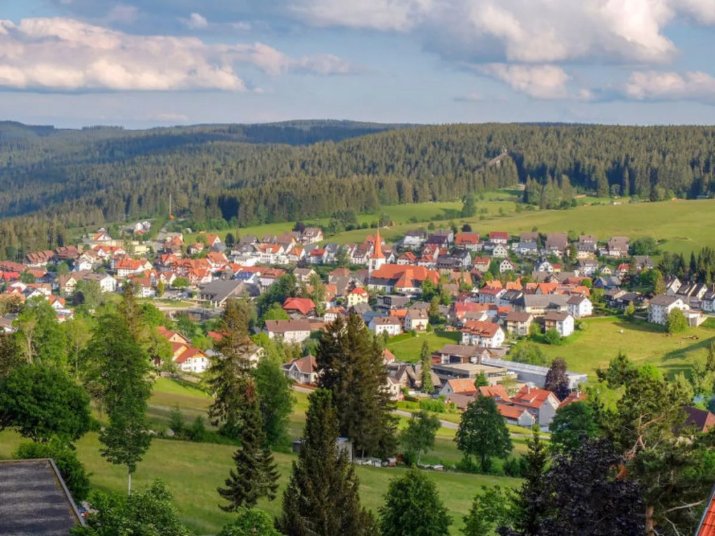 Schwarzwaldblick 11068