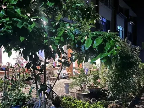 Jingning Shishangxi Homestay