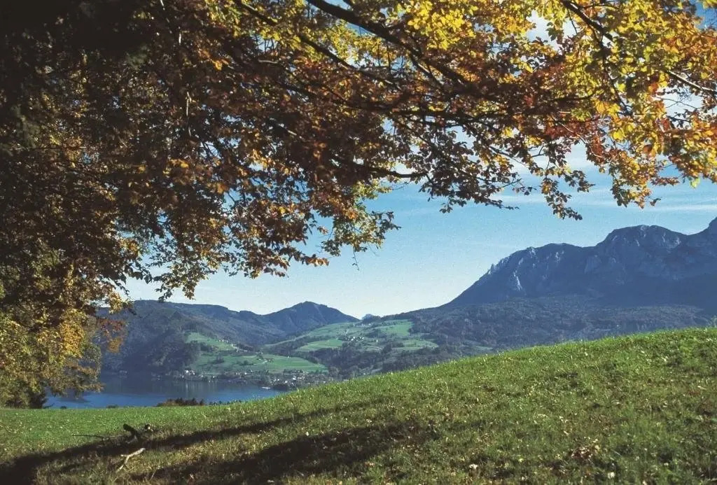 Haus Gruber
