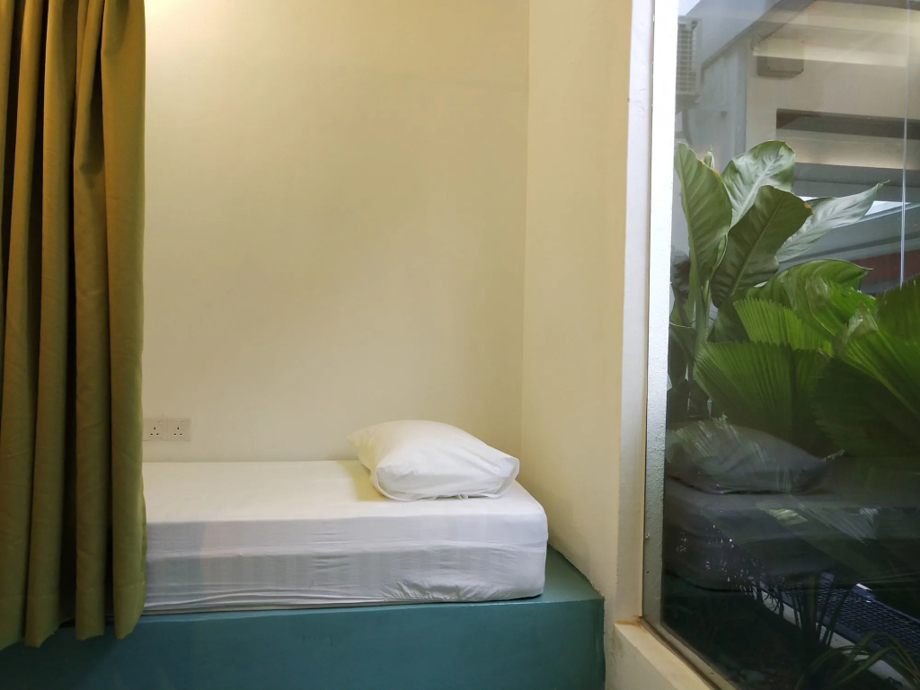 Beds In Garden Hostel
