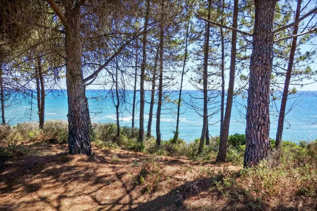 Villa de 4 chambres a Linguizzetta a 850 m de la plage avec vue sur la mer piscine privee et jardin clos