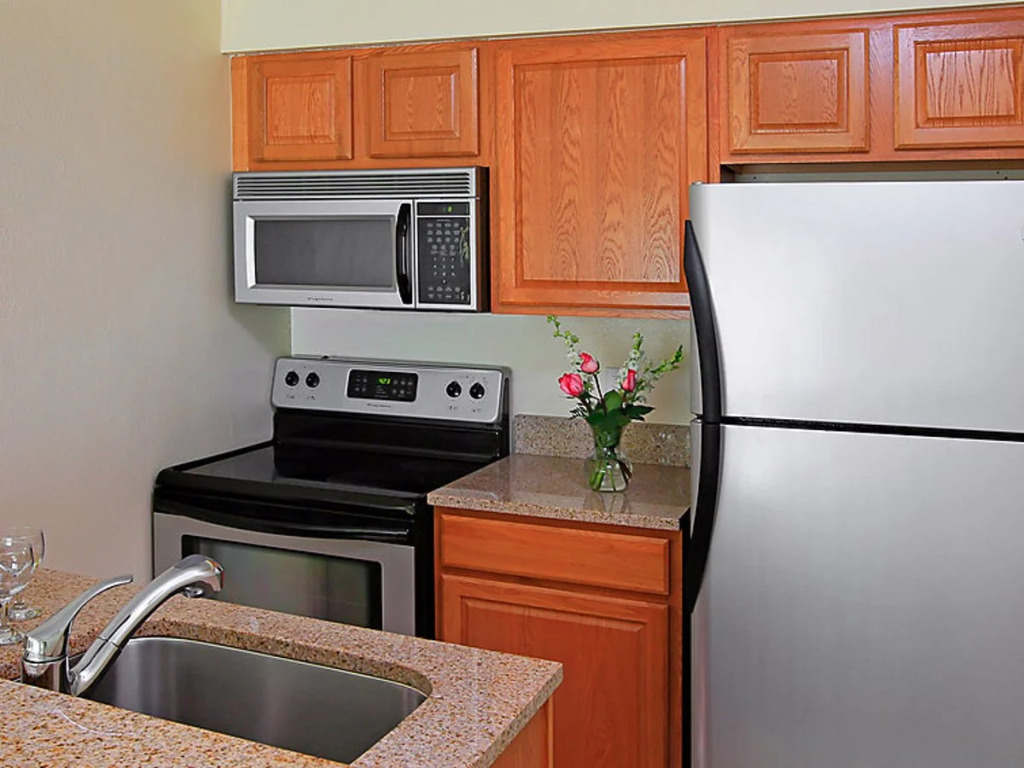Tampa Waterfront 14179