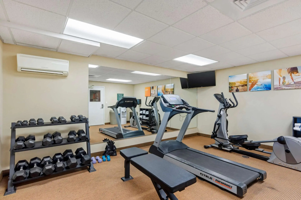 Comfort Inn & Suites Dover near Speedway