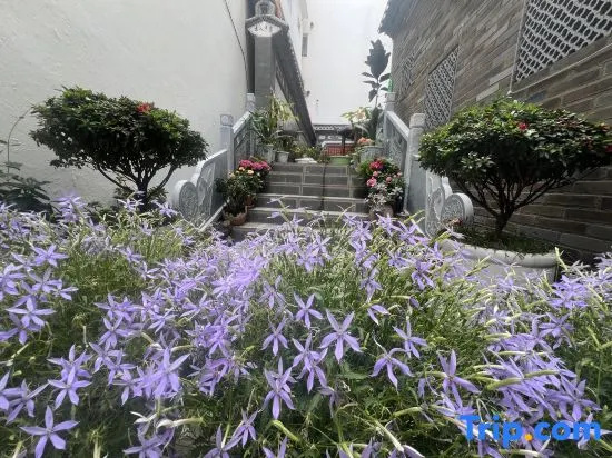 Weishan Fuxi Courtyard Homestay