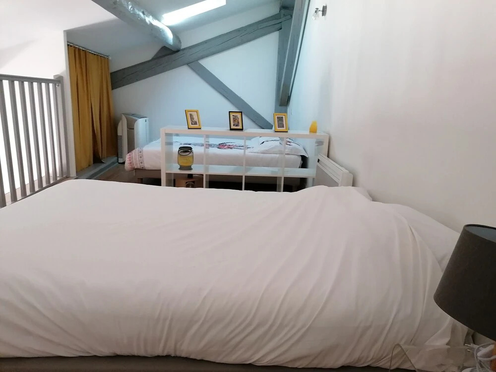 Loft Scandinave Part-Dieu et Parking