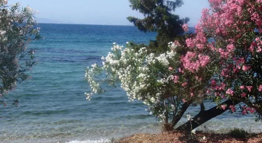 Aliki Studios