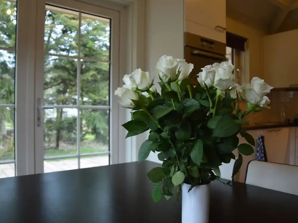 Holiday Home in the Veluwe in Nature