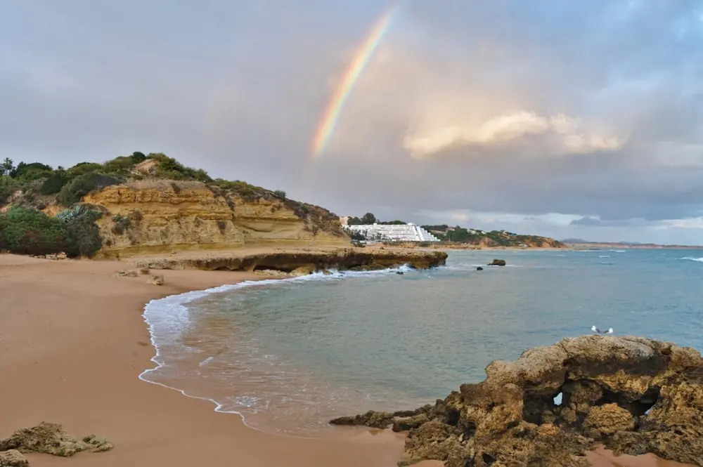 Relaxing Oasis in Albufeira