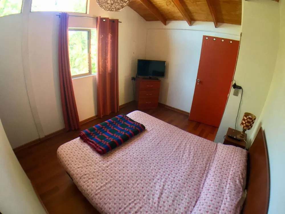 Gecko Hostel