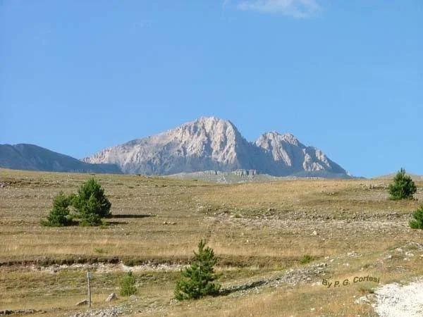Albergo Ristorante Monte Selva