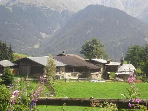 Garni Appartements Almrausch