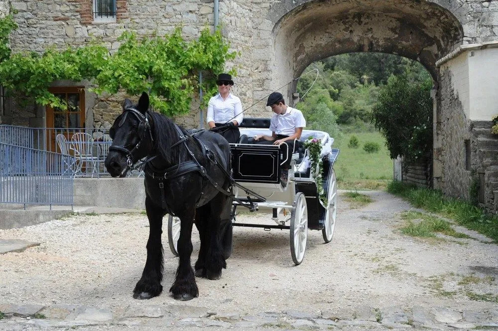 B&B Les Jardins du Mas Evesque