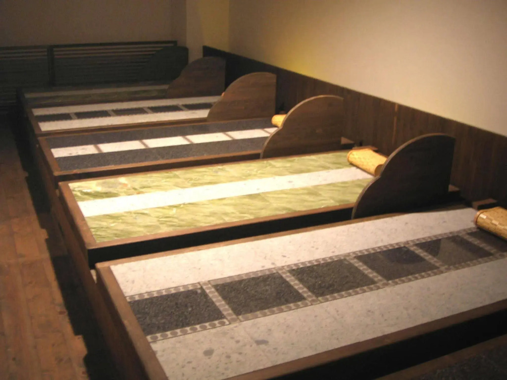 Hikone Biwako Hotel
