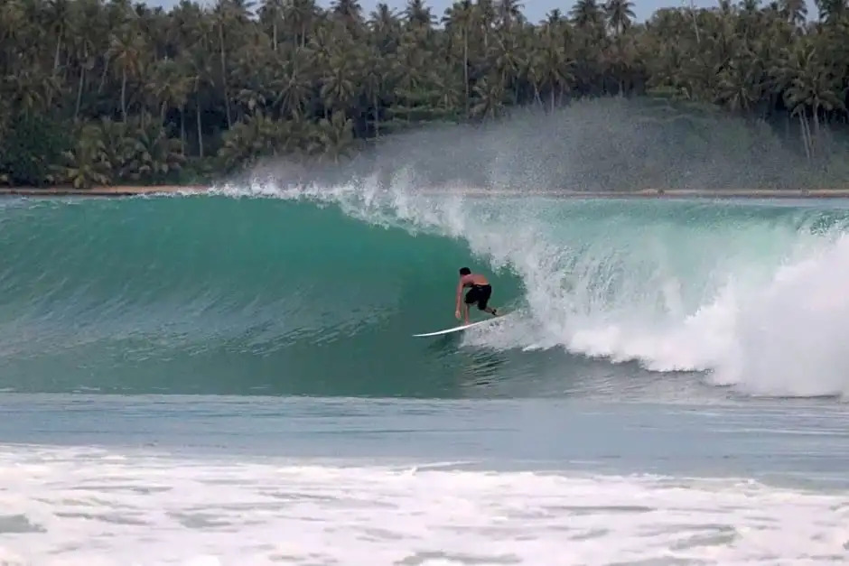 New Raya - Nias Beach Bungalows