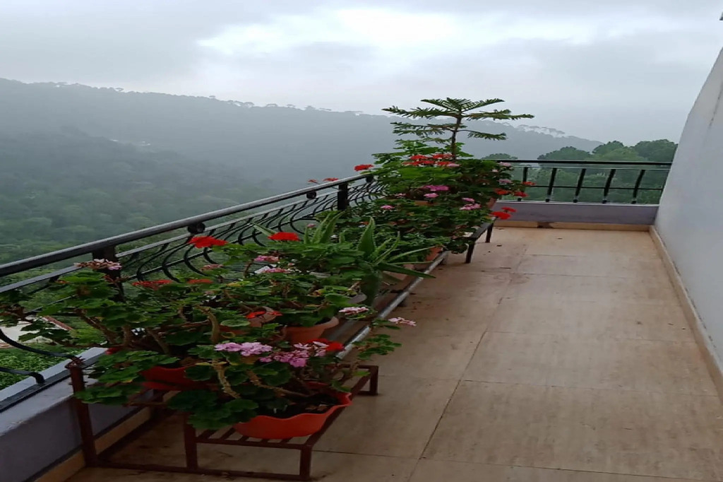 OYO HOME 84599 Satyam Home Stay