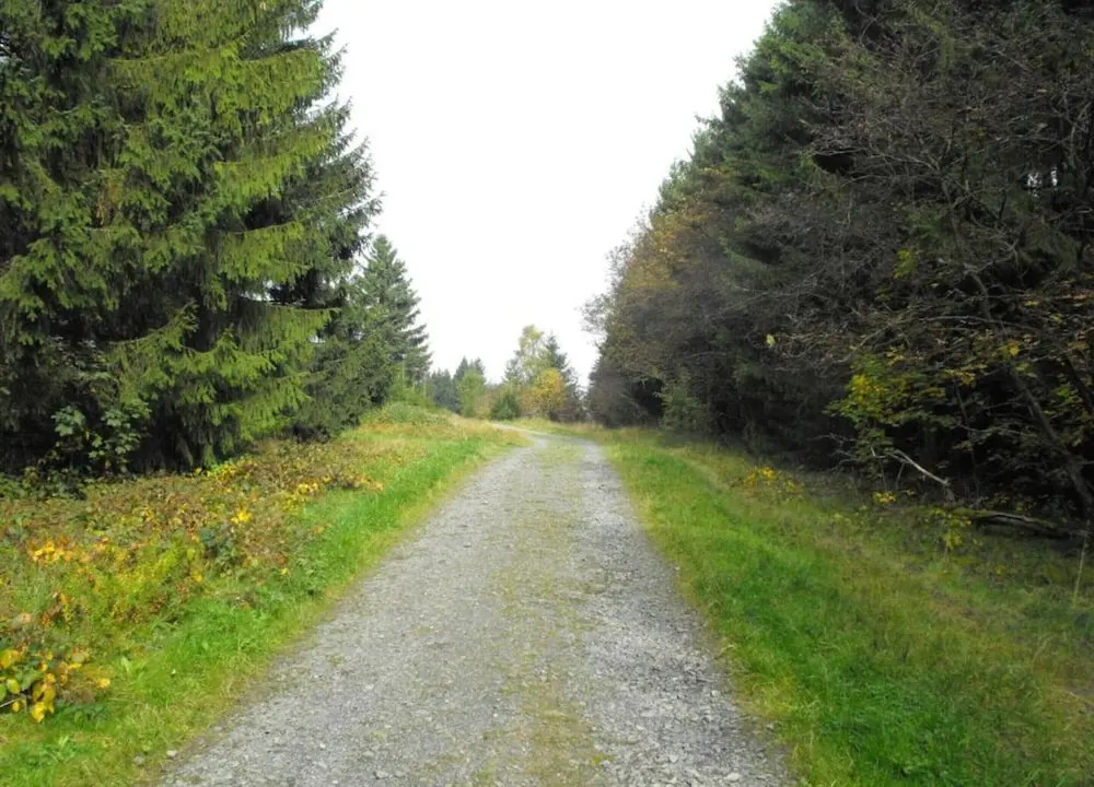 Ferienwohnung im Oberharz in Wildemann